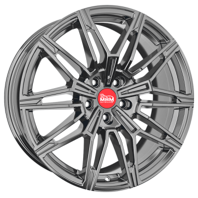 5x112 19x8.5 ET45 B3N PP 66.65