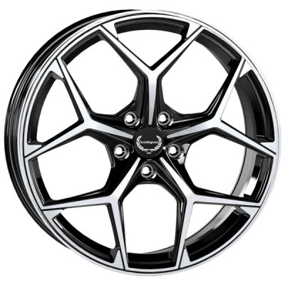 5x112 18x8 ET45 TMG02 GBFP 66.5